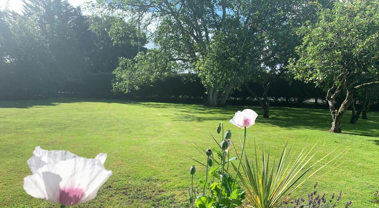 Hope Orchard Bed & Breakfast Cheltenham Eksteriør bilde
