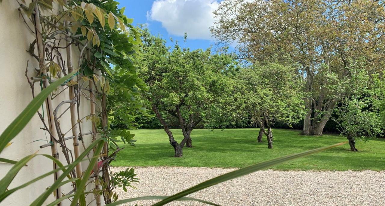 Hope Orchard Bed & Breakfast Golden Valley Eksteriør bilde