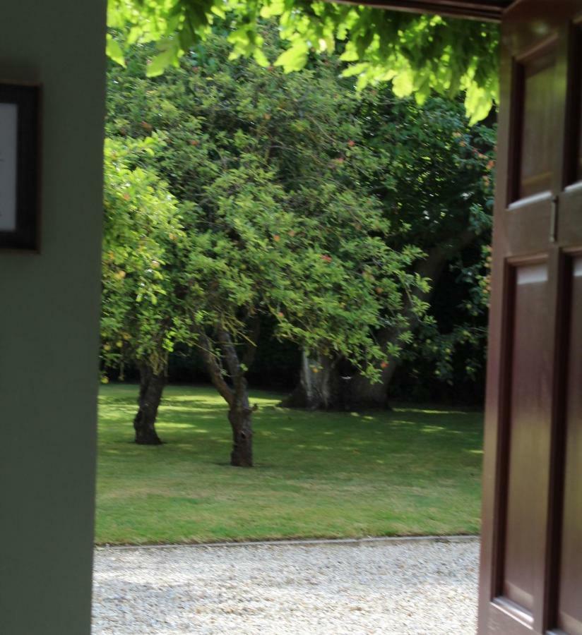 Hope Orchard Bed & Breakfast Cheltenham Eksteriør bilde